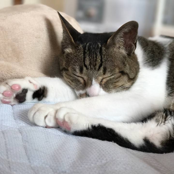 444d7460 0ee7 474a 9474 69b11a1cca00