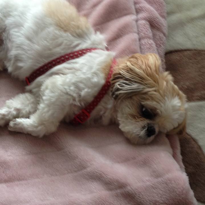 444d957b 351c 4640 8386 2dd218f1fa5a