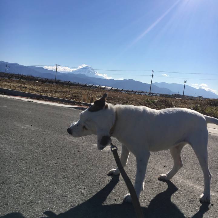 444d9e41 f437 4b29 937b 5c1570ec72a2