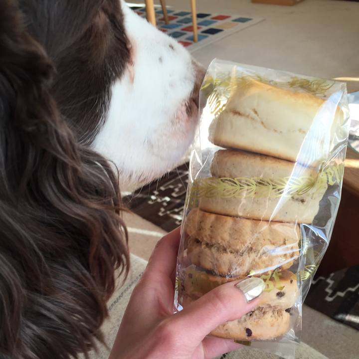 444de8ea c3e8 4ba9 8a23 567f27bdfeee