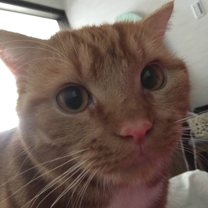 444e8829 3407 4652 92c5 9dca3a83dfa2