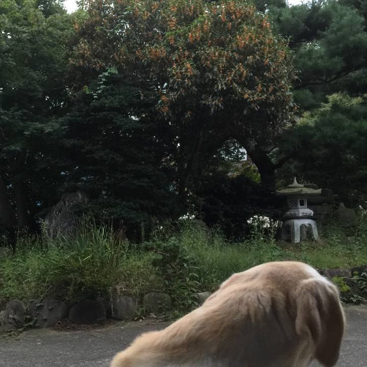 444e8c81 88b0 4e6f 9dd0 95592df4c4f0