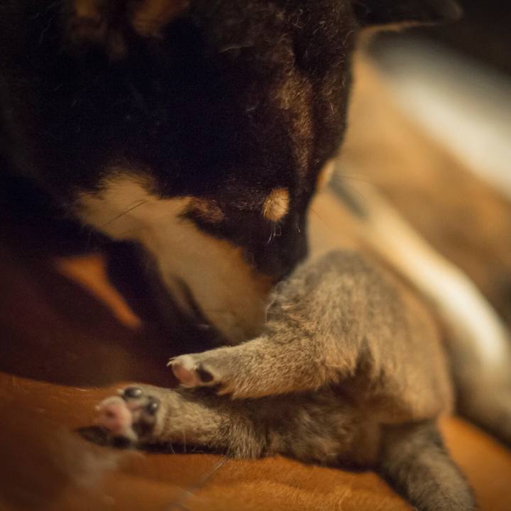 444ea9ef 5e58 464b a8a0 895c1858995a