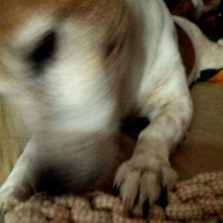 444f4ed3 183e 4ae5 bf33 d011091e5e2a