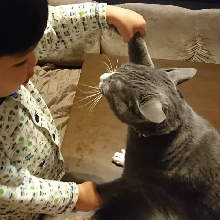 444f6e60 d340 4de7 b091 ea4838a7e236