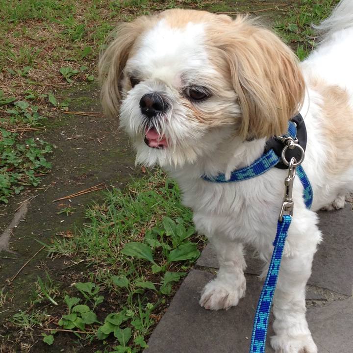 444fab2b 46dd 408e 8d26 d08e3a8c3cb9