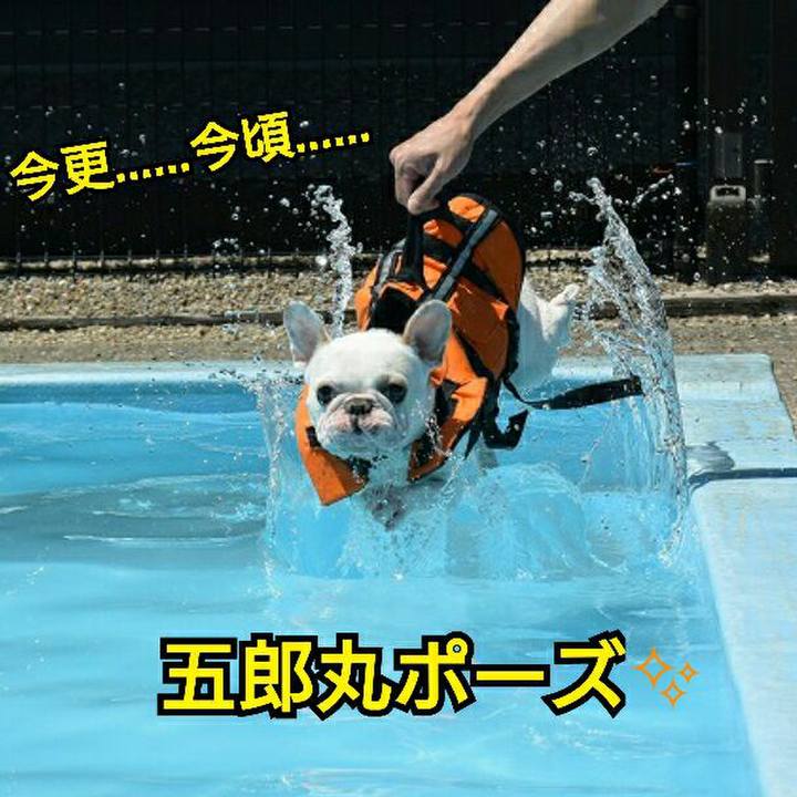 44501eb6 b166 4f23 8d43 245be9282349