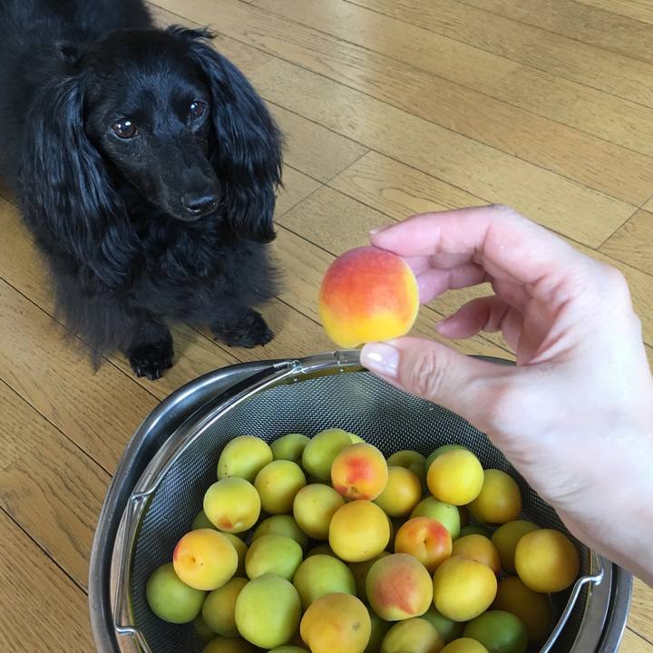 44502b1e ec4b 4cee a792 9056357a3aab