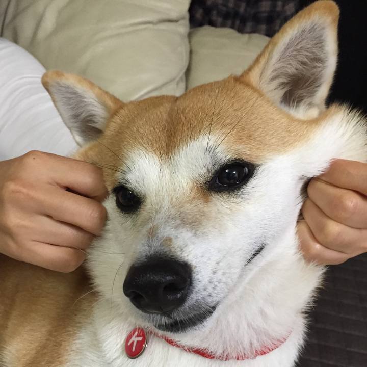 4450d7cc bbe4 4839 90a6 076a867b0c90