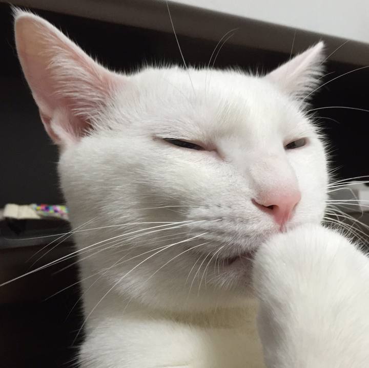 4451781f 08e7 4c62 826f a6f832542d1c