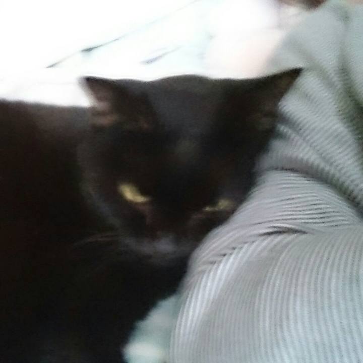 4451d26f 4b7e 424c b7af d30b4270e9d1