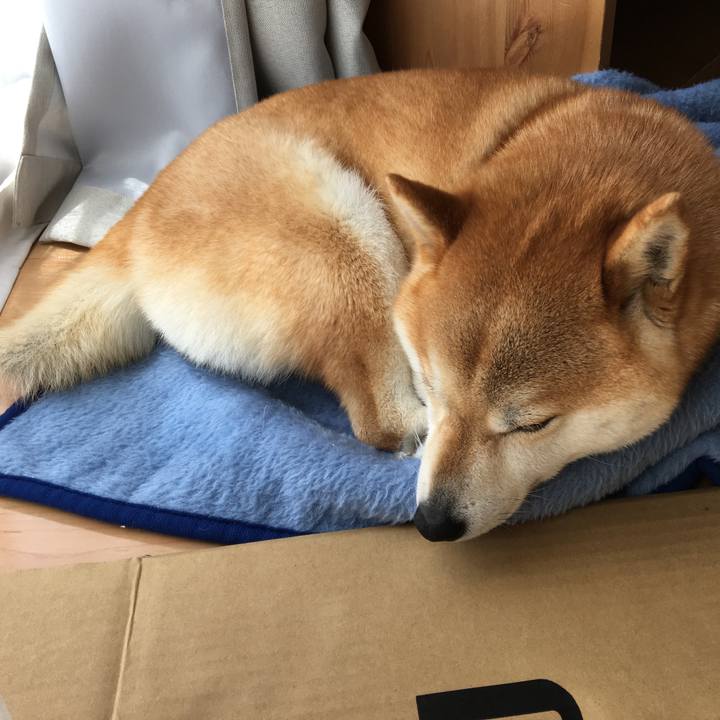 44525c60 a6ae 4289 b72a 953ded12ebaa