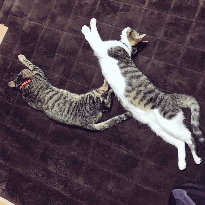 4452dfa4 967a 4892 bce6 8e8909de5777