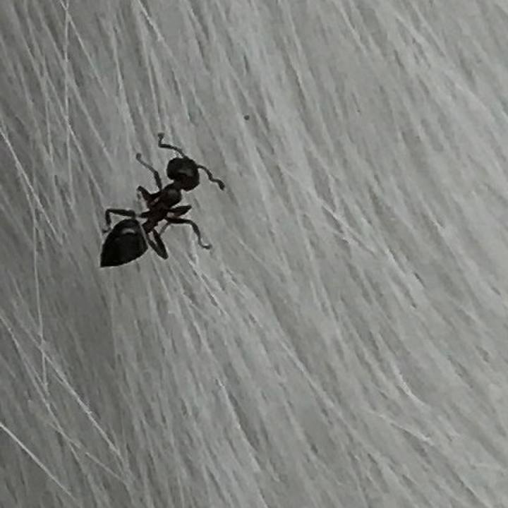 4452f9ac 96f0 443c 899a 00f234fc6121