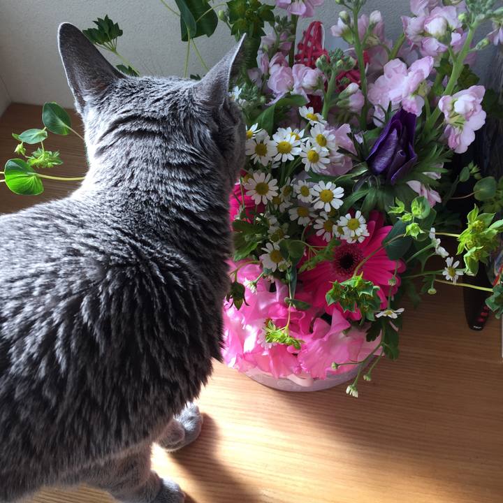 44536789 98c4 4683 968e 86824ff43028