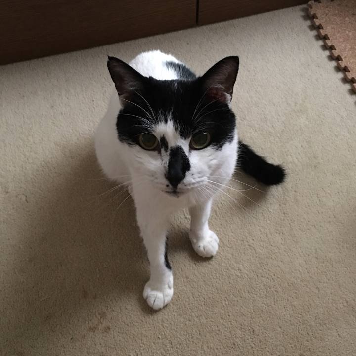 44539163 ce2f 408b ba13 9d0dd5f412c3