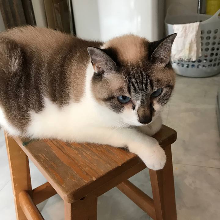 44539168 bdbc 4b50 98e2 bbdaf944bd76