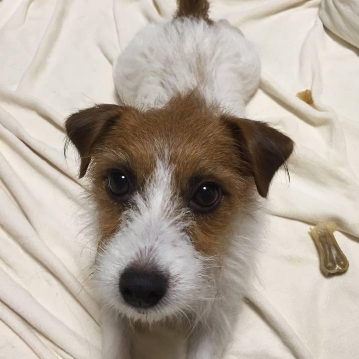 4454366c 791a 4747 a7f5 ca116aeec9a0