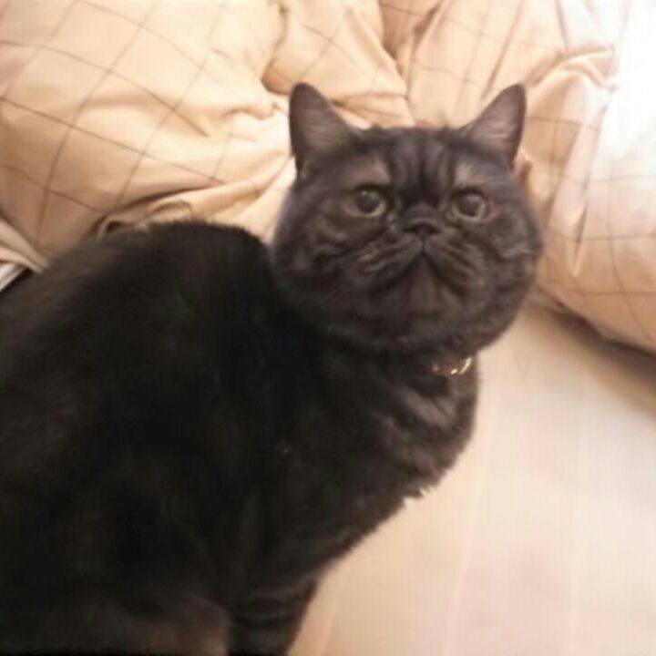 44547aed 9bf7 4c93 954d 7986749b61ef