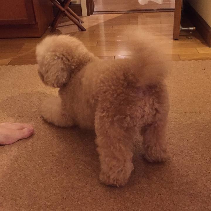 4455c7da ff50 45ff 93ff 2c5833f67d0b