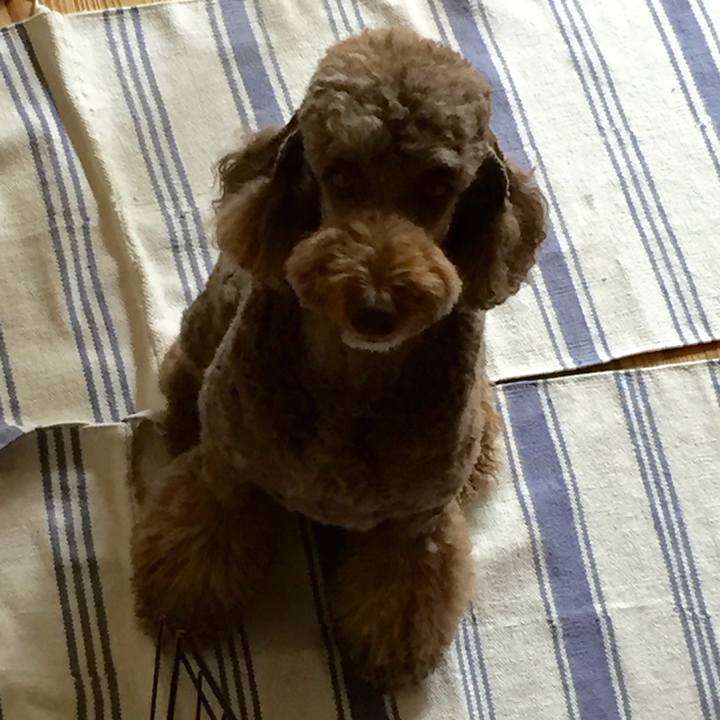 4455d5af 315f 4125 a0f0 b439310ded31