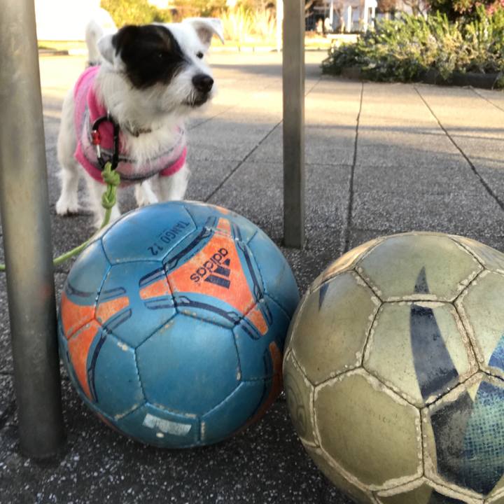 44565b4a e6c9 402d 8c16 4cd74442936a