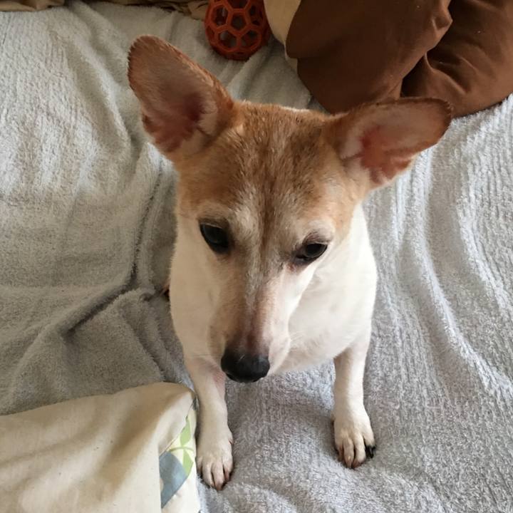 44575bed cec8 42d3 a9c0 968cffb4f2b2