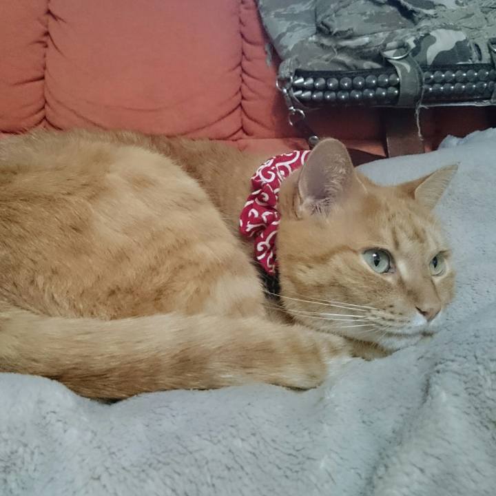 445873b1 cb87 4ac1 9722 27f209c1b26f