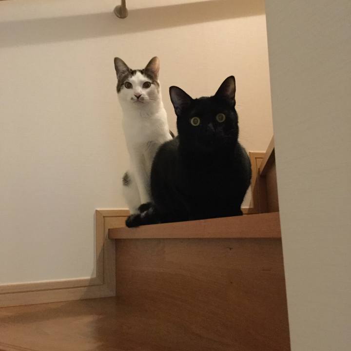 44593ff2 b182 4c8c 9331 9da15f284180