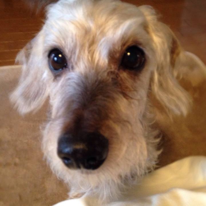 4459bdb3 50cf 49b3 adfc 2a2ce81df6e5