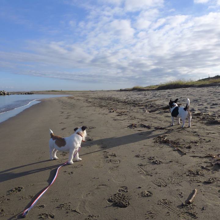 445a0b5b d082 4661 a299 96b1121c1caa