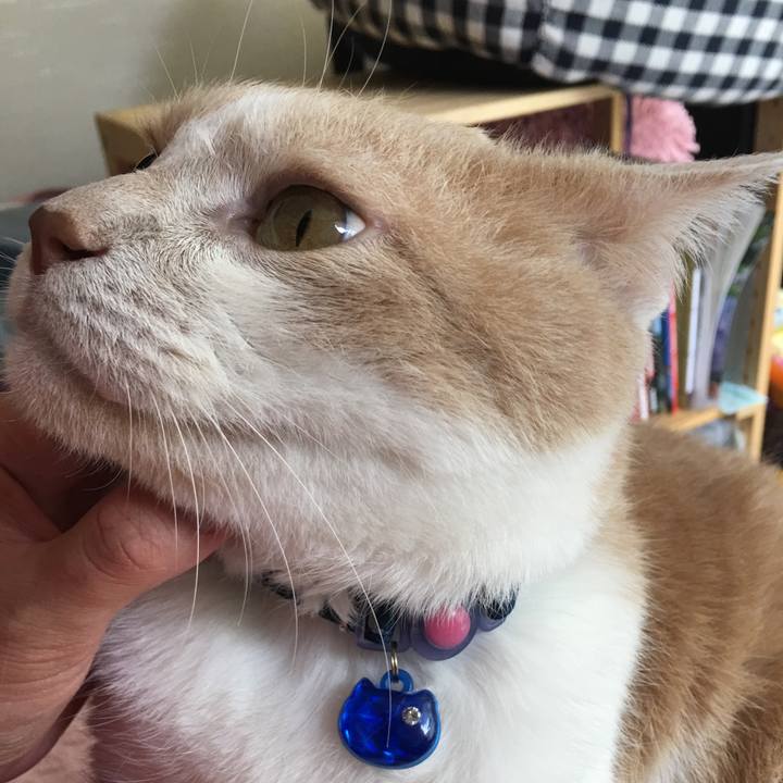 445a57ca e498 40b7 9129 a953b9aaa7f7