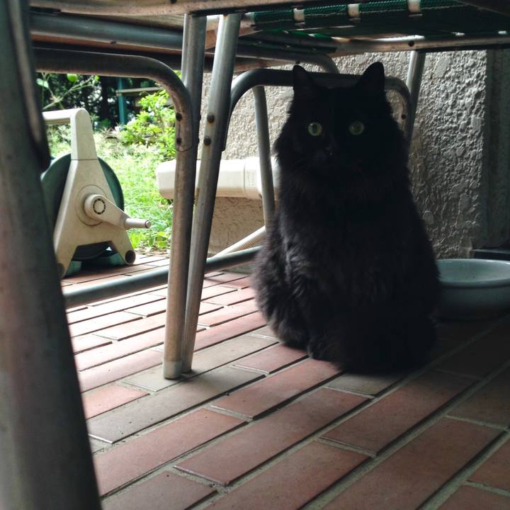 445a7412 305d 4c45 9536 4c22116b9b48