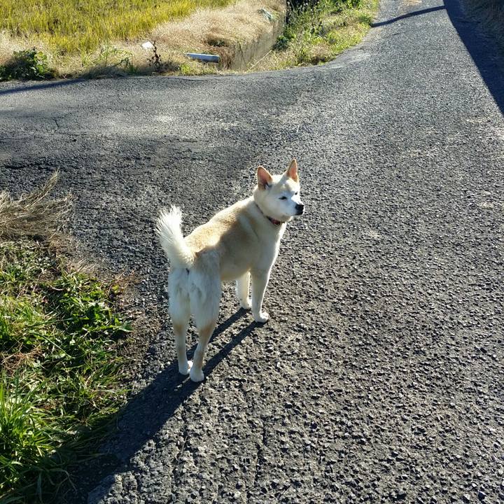 445ad9eb 28f2 437a b0ba 6887823895ce