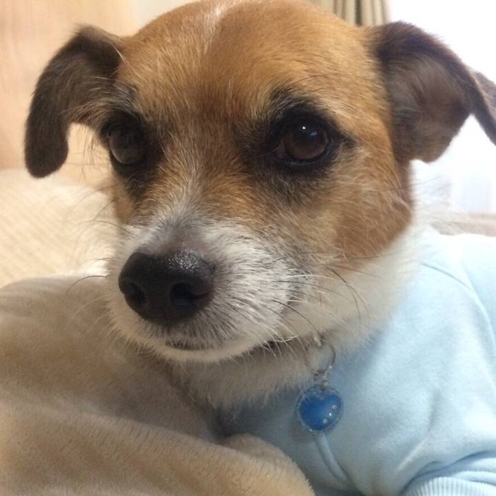 445af08c 0432 4f9f 9723 7685d66eb280