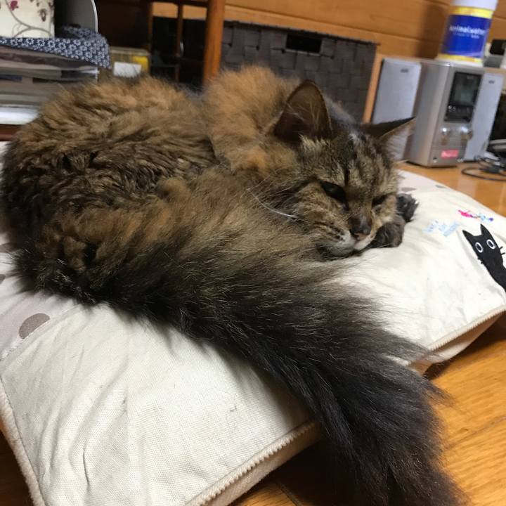 445b29ce 6bd5 471c b402 f947da287cc6