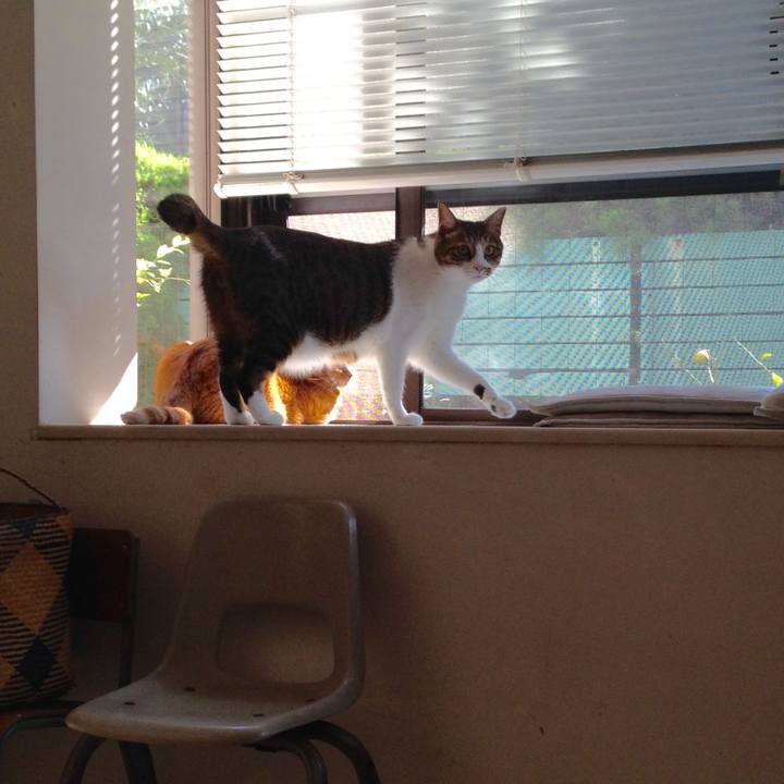 445be12f d74c 4b88 aaf2 6c767303d830