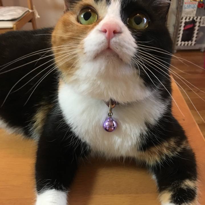 445c16c2 1b2b 4caf 8ede f61767a19fa0