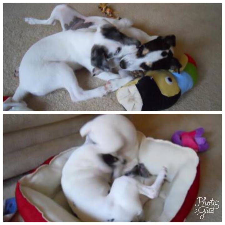 445c39b5 d474 4502 831f b9ebbcad85c1