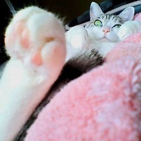 445d21cd 5c90 4298 ab03 1bf068603115