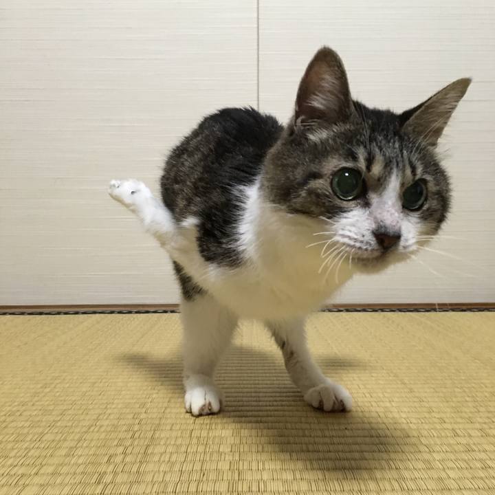 445d25d0 8699 4d17 988b 7426de15e165