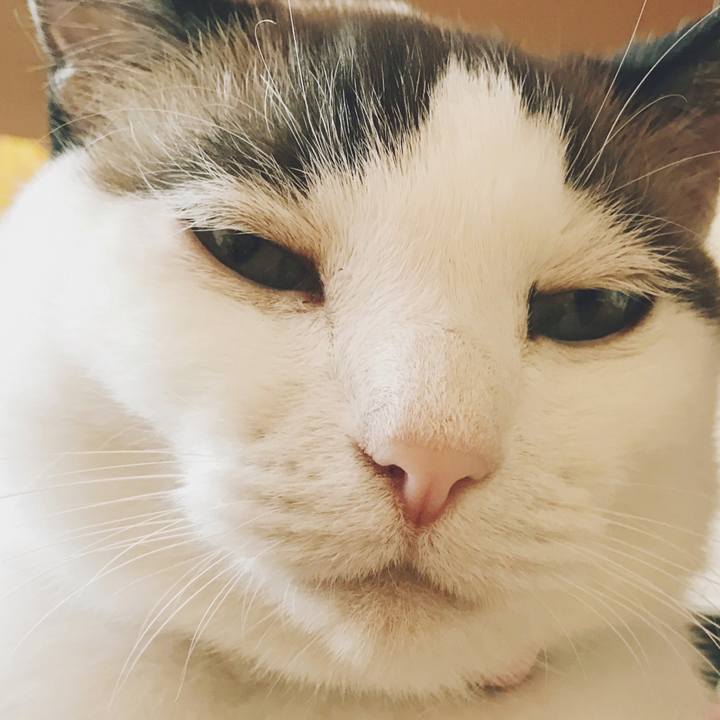 445d37d2 d80d 4e75 8d3c 76a75cd1a39c