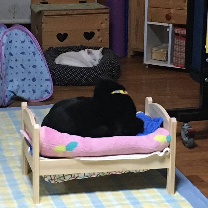 445d7145 3f10 4066 81eb 9a151f5bba0a