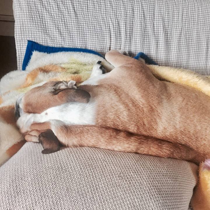 445d9dd2 2fa9 4f0a bd92 21891e3bb9a9