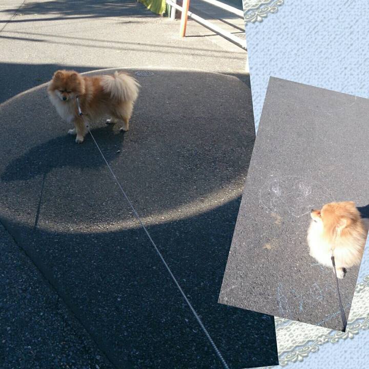 445e0f9c 0e77 4050 aa0d dc693c659aef