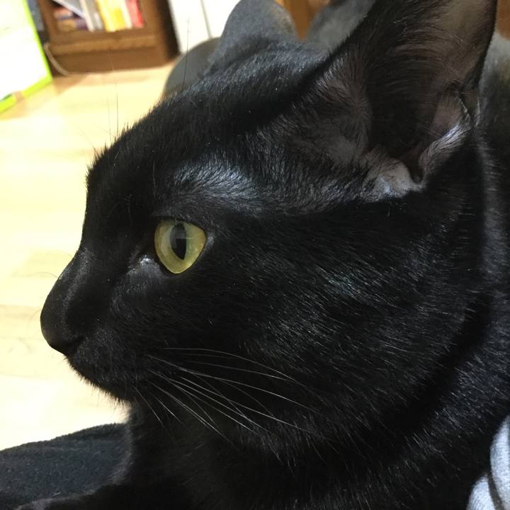 445e292f 504b 40c7 870a 5c0234456548