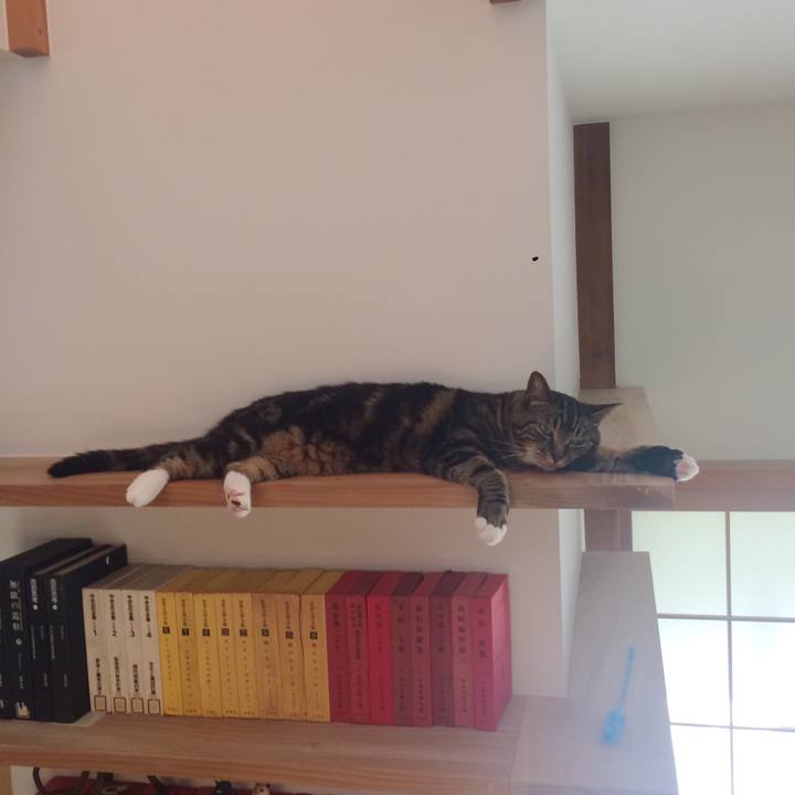 445e3450 4379 411f 967e 9eb1a1155e76