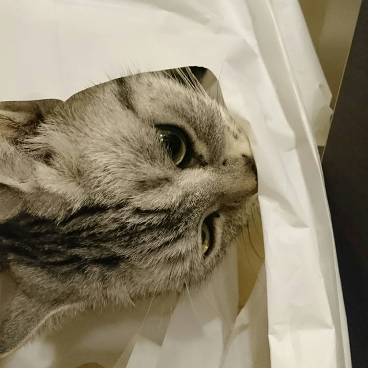 445e4523 d76d 4bd5 8b8c 343412689a07