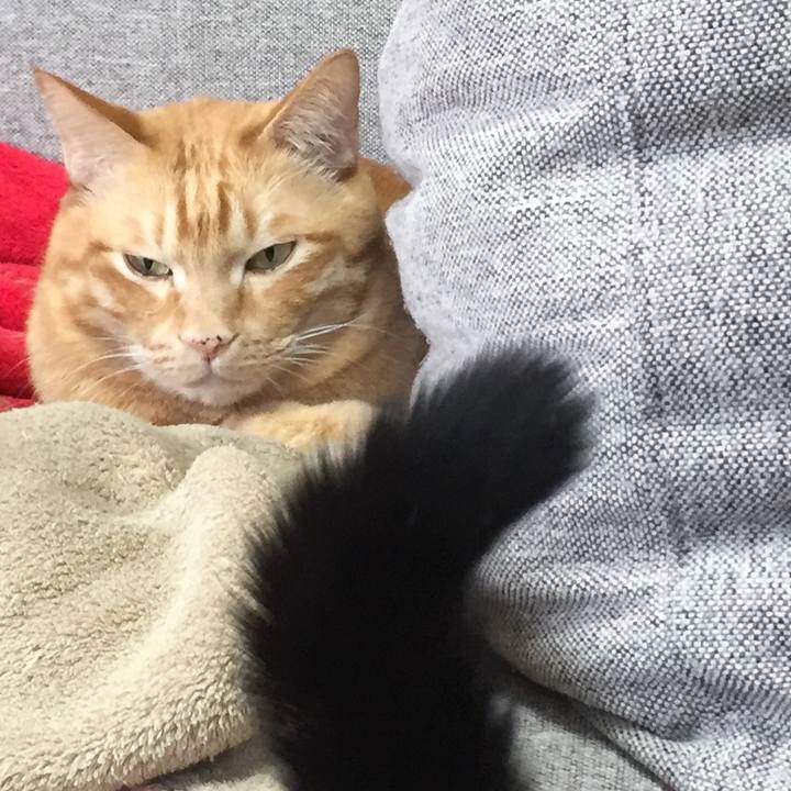 445e9348 ed0b 4cf6 acbd b12ad6ad254c