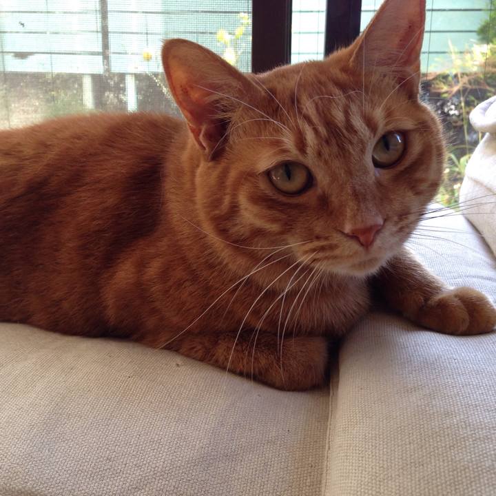 445f1b09 60bd 4119 823b 2c7dbdc5d5ae